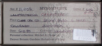 Image Associated With the Occurence